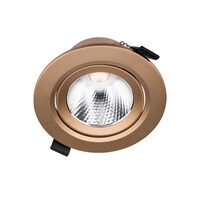 PT 08 LED 10W 3000K GD(5.5)