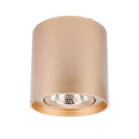 PC 01 LED 10W 4000K RD GD(5.6)